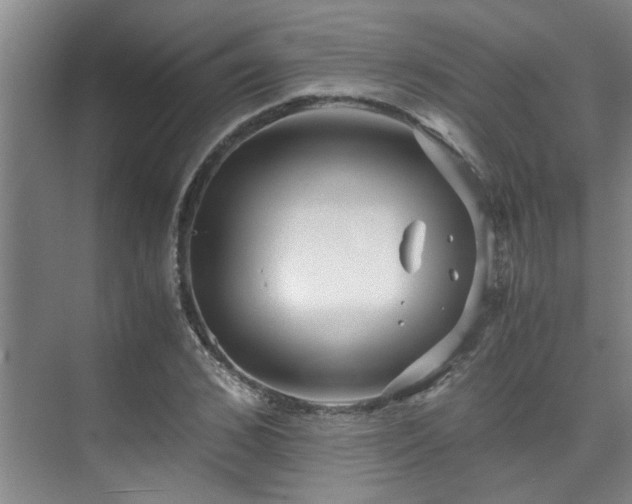 X0000075840976200609151300