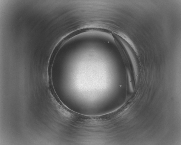 X0000075840980200609151300