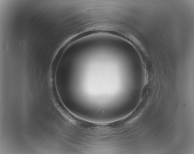 X0000075840981200609151300