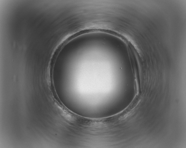 X0000075840982200609151300