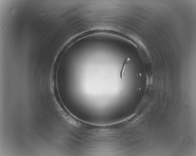 X0000075840984200609151300