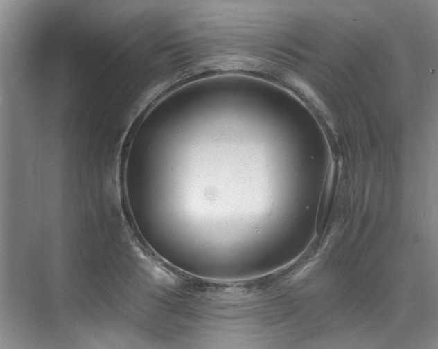 X0000075840986200609151300