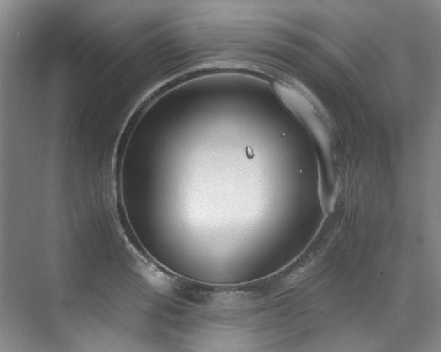 X0000075840988200609151300