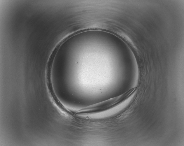 X0000075840991200609151300