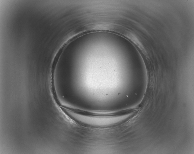 X0000075840992200609151300