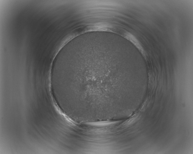 X0000075840994200609151300