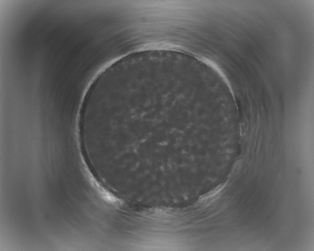 X0000075840995200609151300