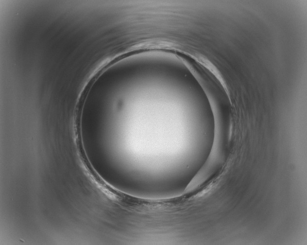 X0000075840997200609151300