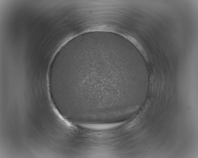 X0000075840998200609151300