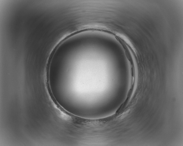 X0000075840999200609151300