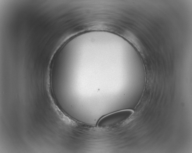 X0000075841000200609151300