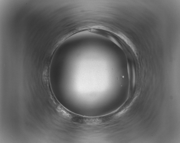 X0000075841001200609151259