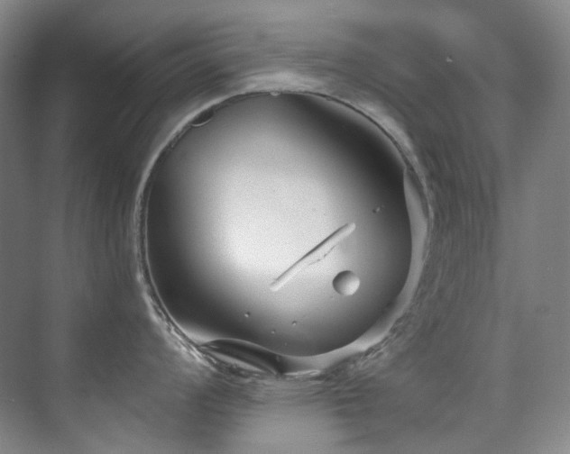 X0000075841008200609151259