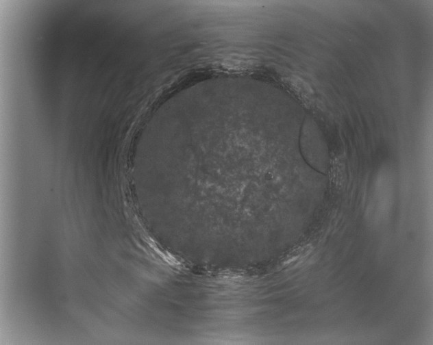 X0000075841009200609151259