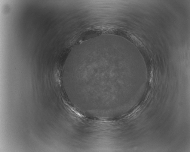 X0000075841010200609151259