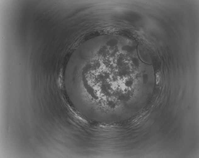 X0000075841011200609151259