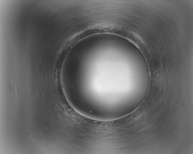 X0000075841016200609151259