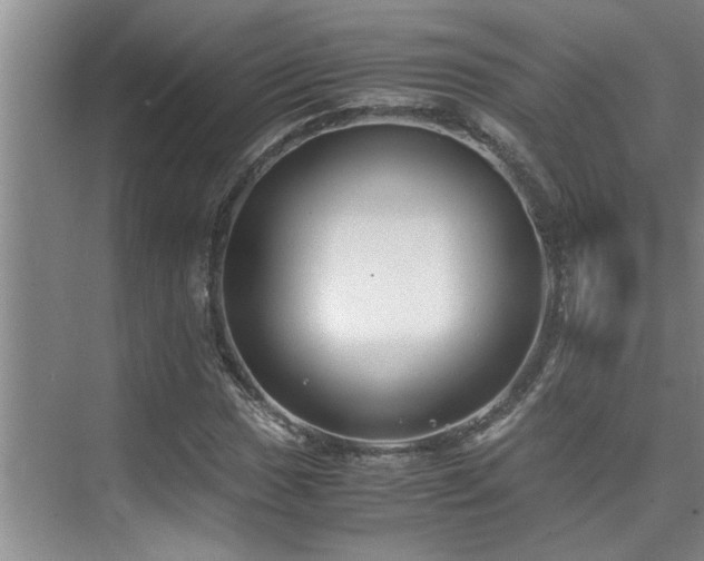 X0000075841017200609151259