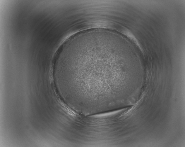 X0000075841019200609151259