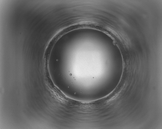 X0000075841021200609151259