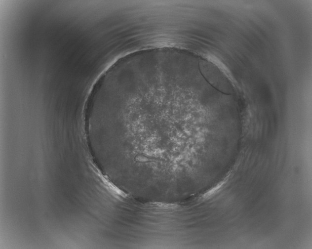 X0000075841023200609151259