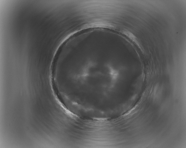 X0000075841024200609151259