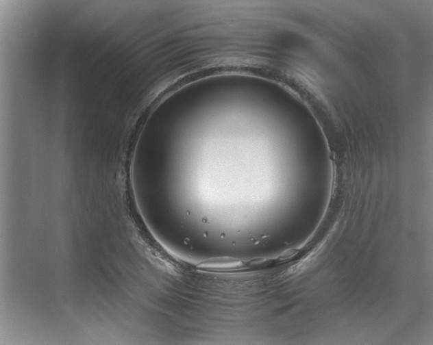 X0000075841025200609151259