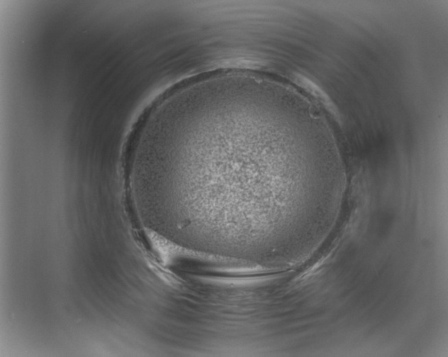 X0000075841027200609151259