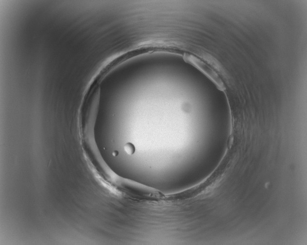 X0000075841030200609151259