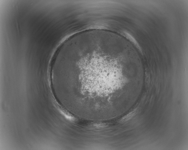 X0000075841035200609151259