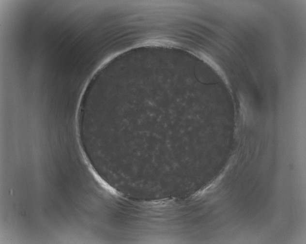 X0000075841037200609151259