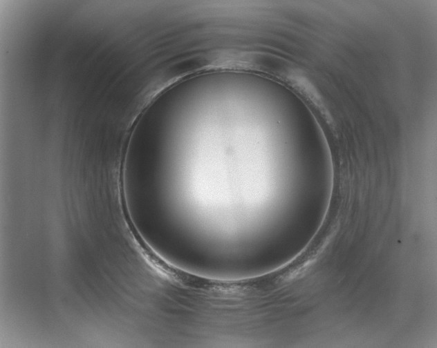 X0000075841041200609151259