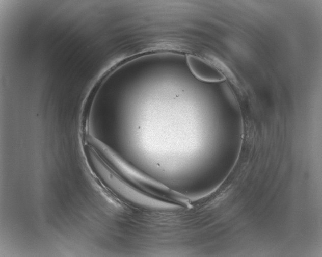 X0000075841043200609151259