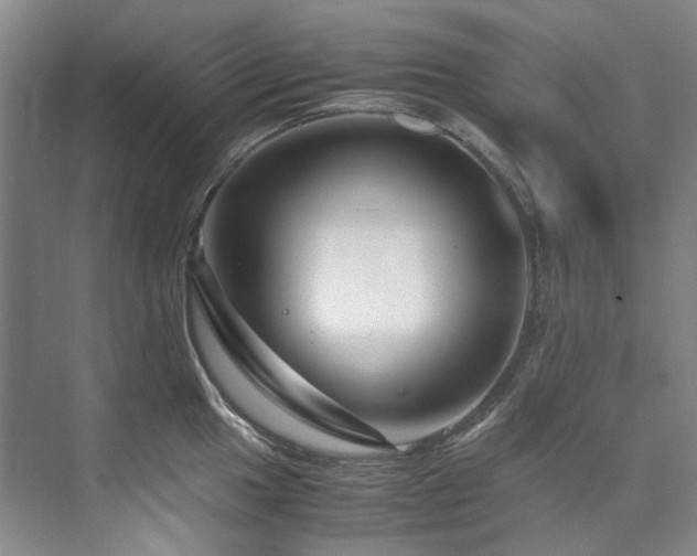 X0000075841049200609151259