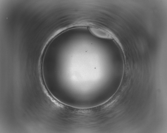 X0000075841053200609151259