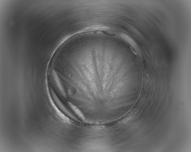 X0000075841055200609151259