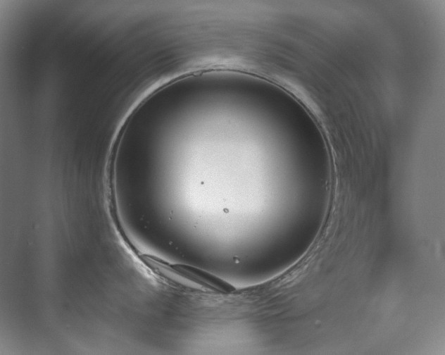 X0000075841056200609151259