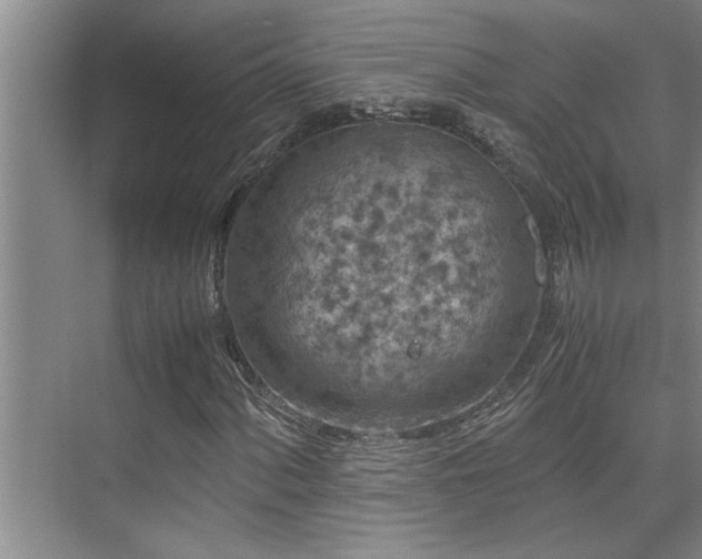 X0000075841060200609151259