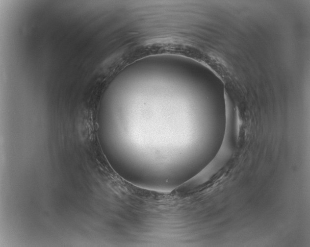 X0000075841062200609151258