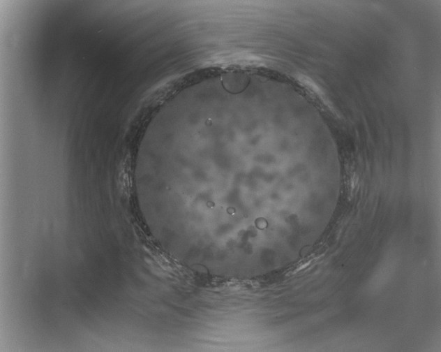 X0000075841063200609151258