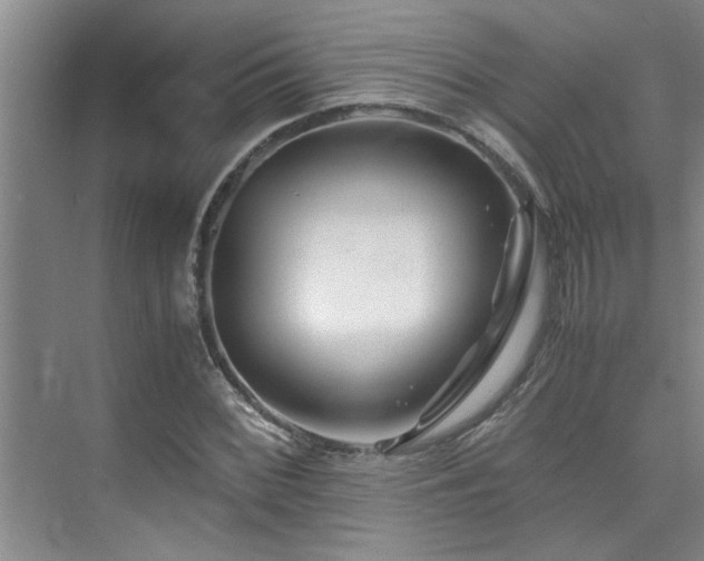 X0000075841068200609151258