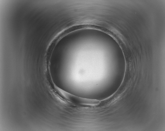 X0000075841069200609151258