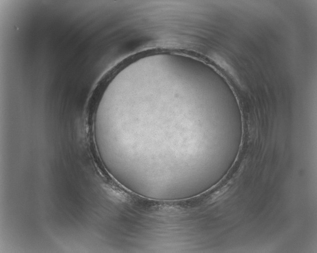 X0000075841070200609151258