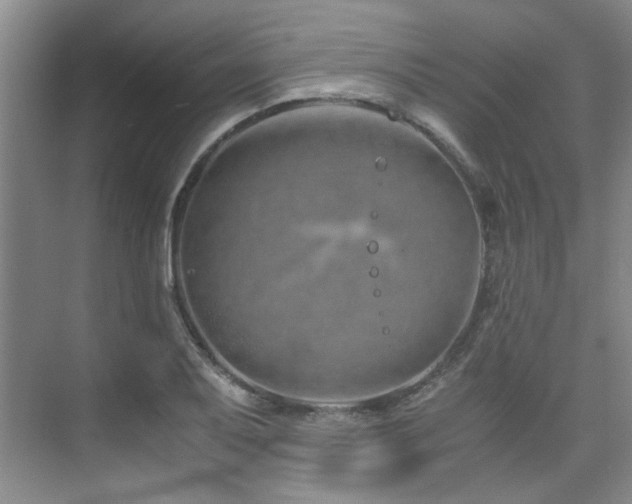 X0000075841079200609151258