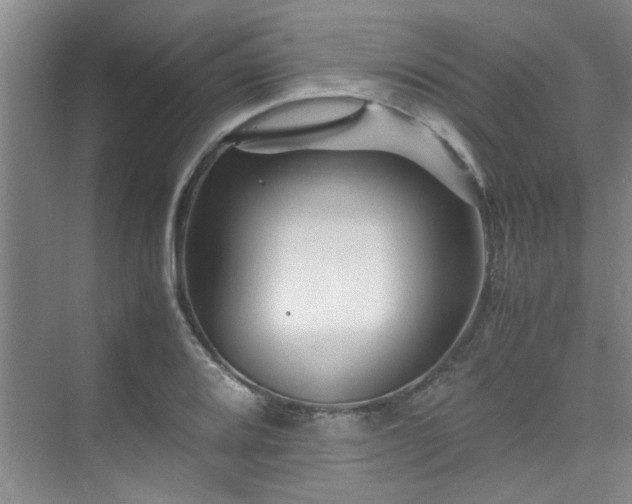 X0000075841080200609151258