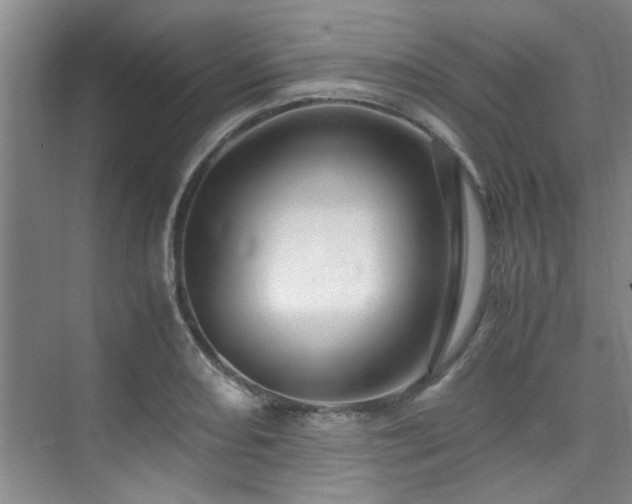 X0000075841082200609151258