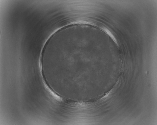 X0000075841084200609151258