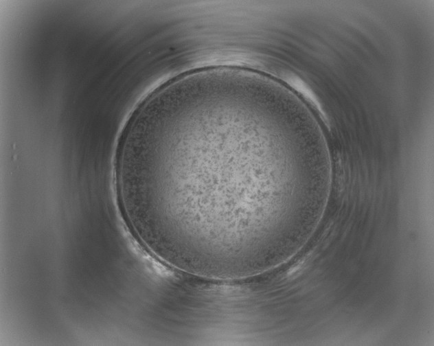 X0000075841088200609151258