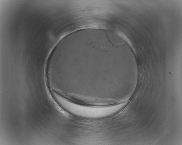 X0000075841091200609151258