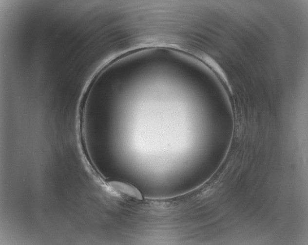 X0000075841096200609151258